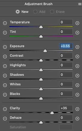 adjustment brush to dodge and burn and clarity