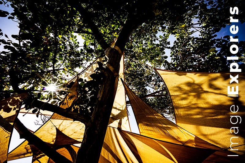 canvas sails with star sun and silhouette tree shows details