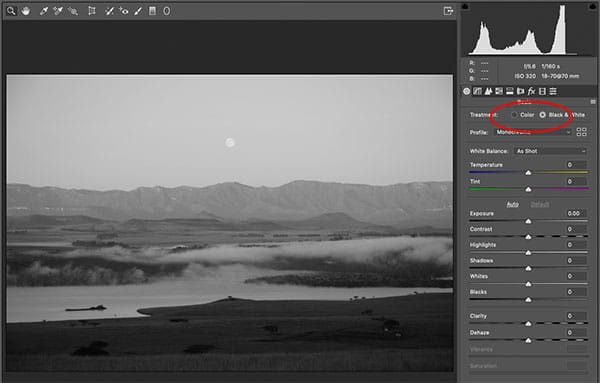 convert colour to black and white