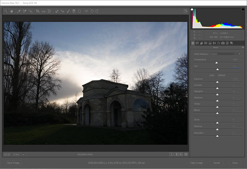 Original image in raw direct from camera