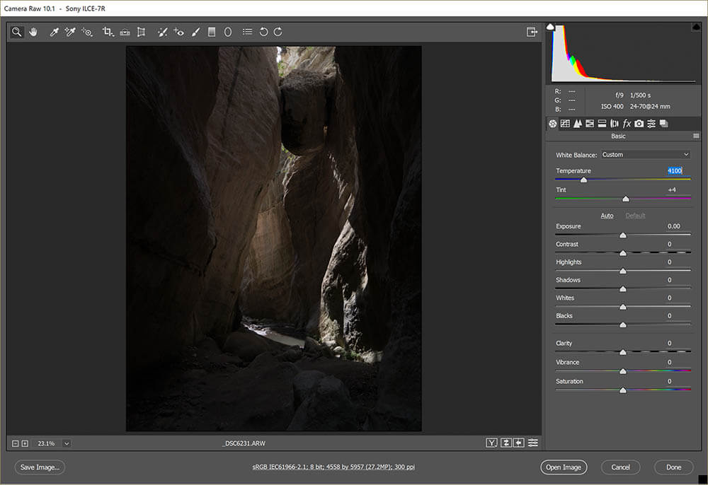 out of camera raw file