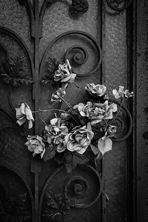 photographing Paris graveyards