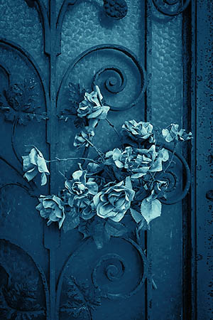 photographing Paris graveyards