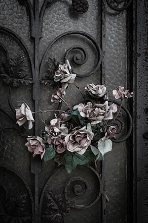 photographing Paris graveyards