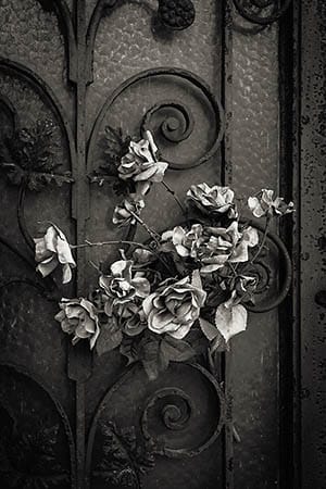 photographing Paris graveyards