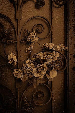 photographing Paris graveyards