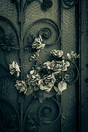 photographing Paris graveyards