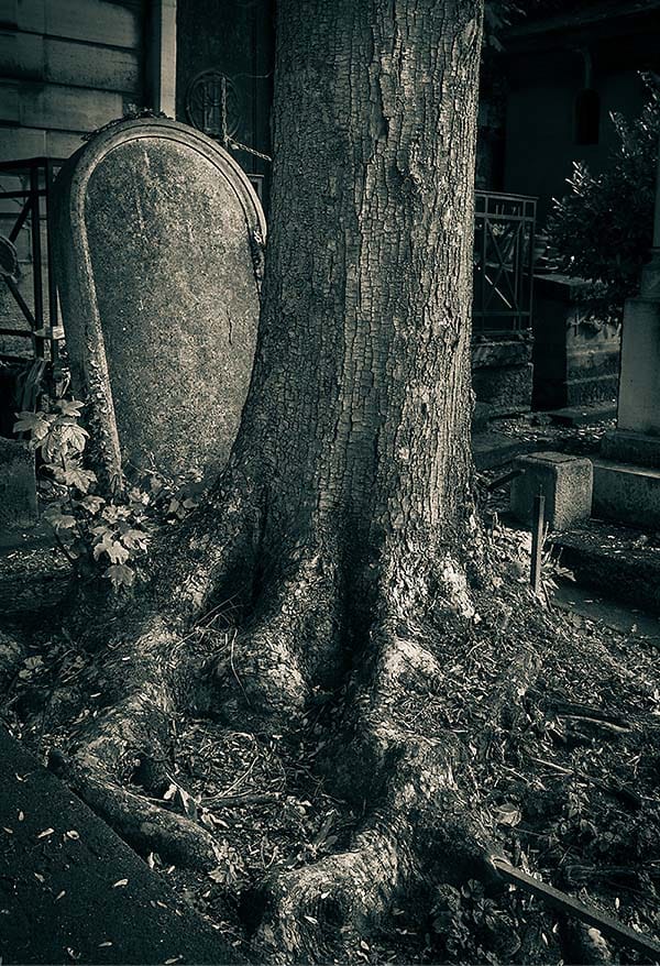 photographing Paris graveyards