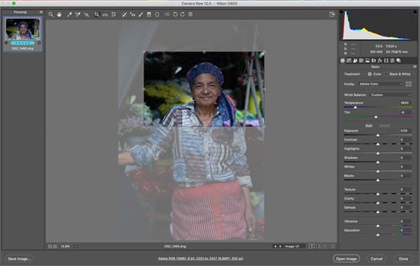 Screenshot shows cropping the McCurry style image in RAw