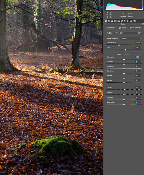 Raw file converter in Photoshop vs Affinity Photo raw