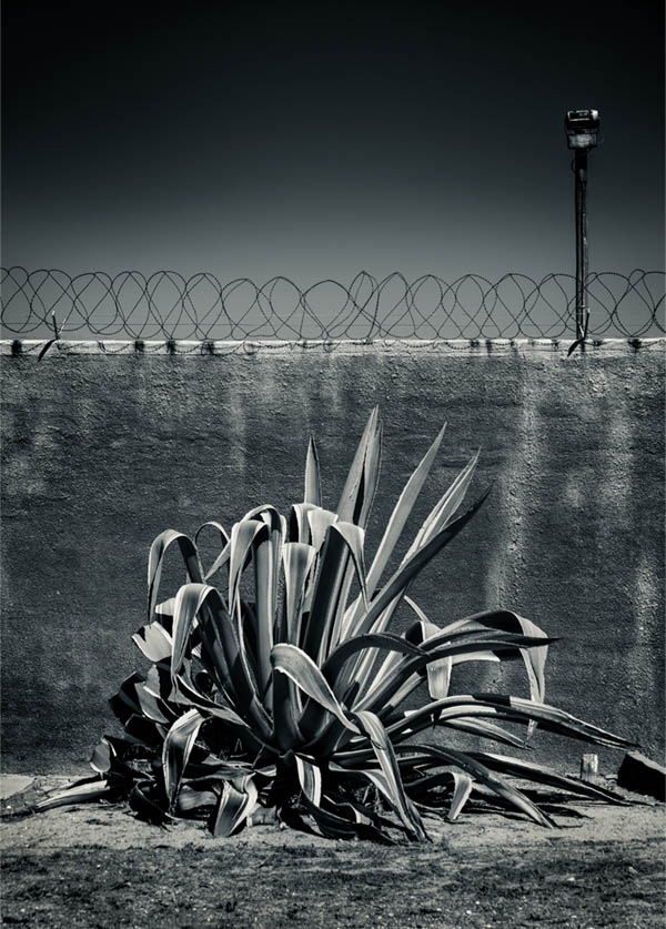 Robben Island yard wall