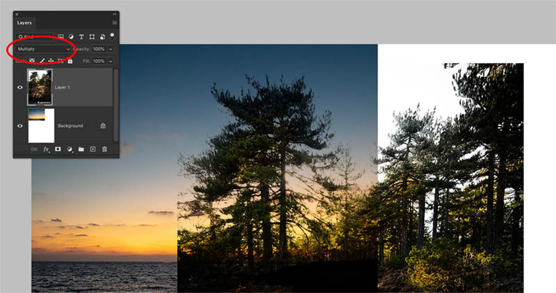 showing multiply effect for slihouette