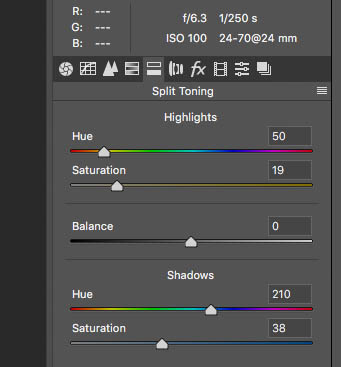 split tone sliders in raw for cyanotype colour