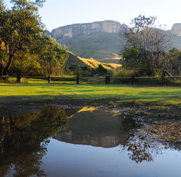 upside down reflection full image