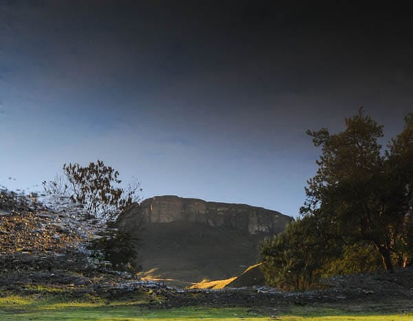 upside down reflection